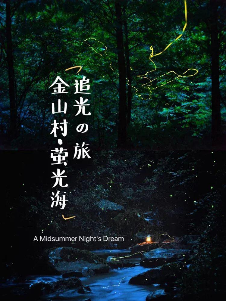 古墓丽影崛起